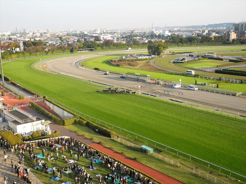 I:\国際交流2019年\6月東京競馬場・菅直人\画像縮小用\Resize\DSCN2899縮小試験用.JPG