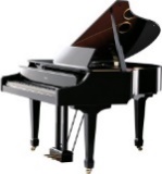 C:\Users\Owner\AppData\Local\Microsoft\Windows\INetCache\IE\M7E5U45H\v-piano_grand_angle_2_half_gal[1].jpg